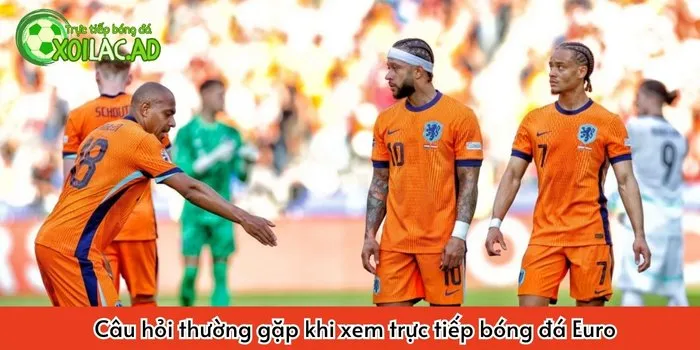 Câu hỏi thường gặp khi xem trực tiếp bóng đá EURO