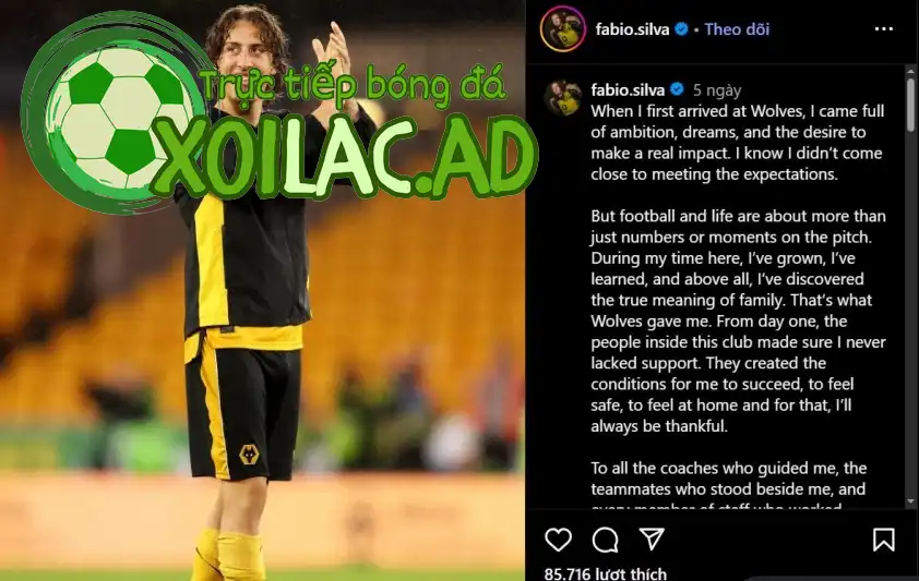 Bài đăng của Fabio Silva. Bài đăng của Fabio Silva.